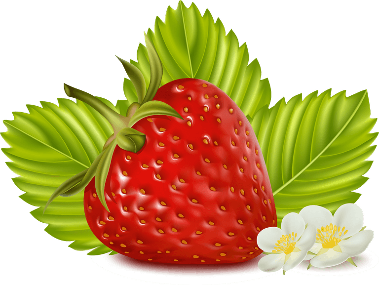 juicy strawberry fruit milk vector illustration with vibrant colors and fresh elements