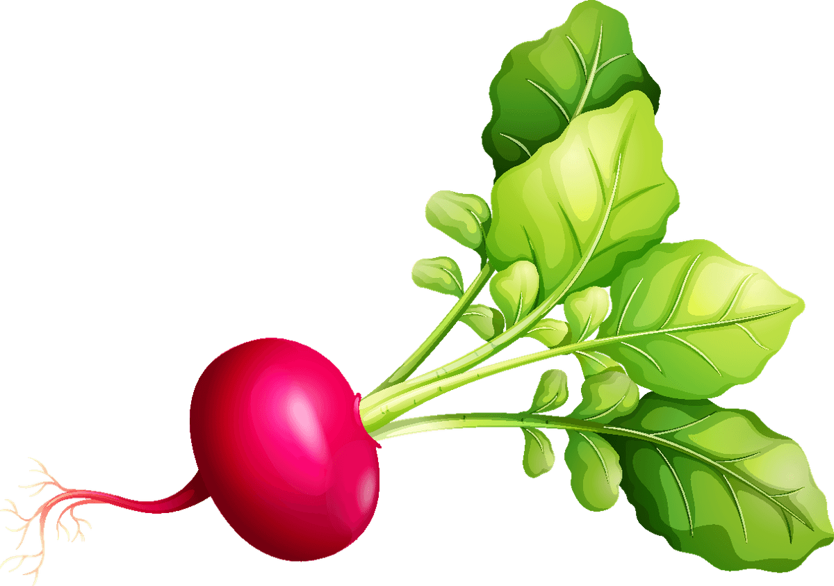 sugar beetpile fresh vegetables fruits with vibrant colors for healthy cooking and salads