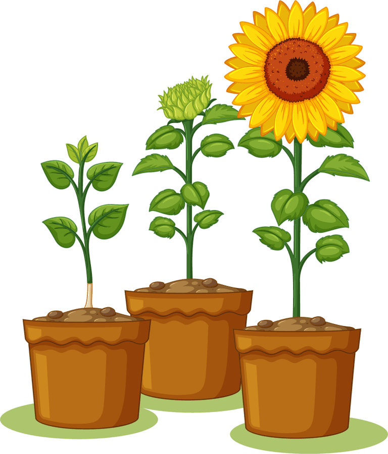 sunflower jardiniere children with their dogs and cats on white background