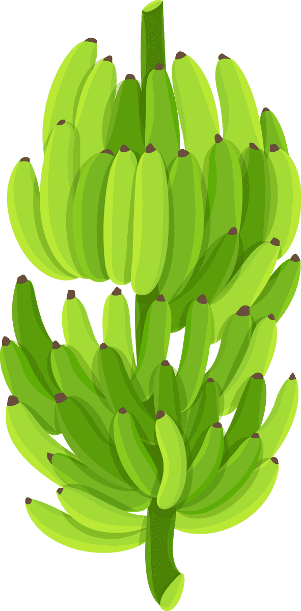 thai traditional thailand tourism featuring vibrant banana bunches for culinary delights and local markets