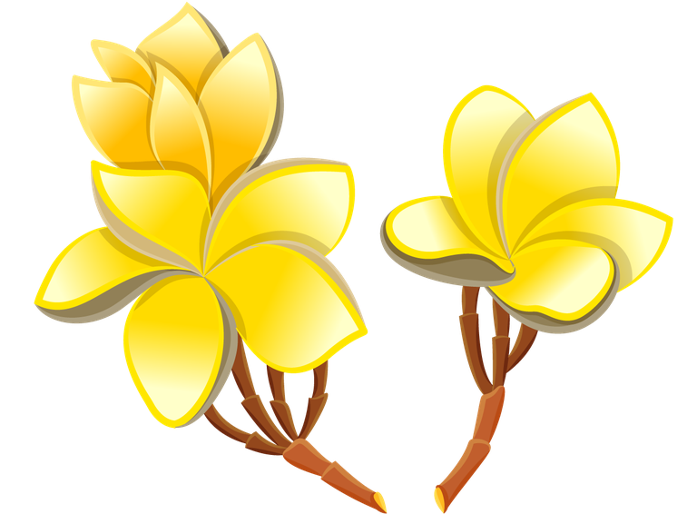 thai traditional thailand tourism featuring vibrant yellow flowers for cultural celebrations