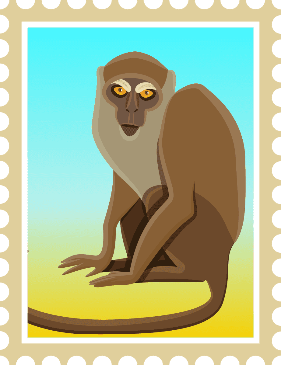 simple thailand postcard poster featuring a playful monkey with vibrant colors and details