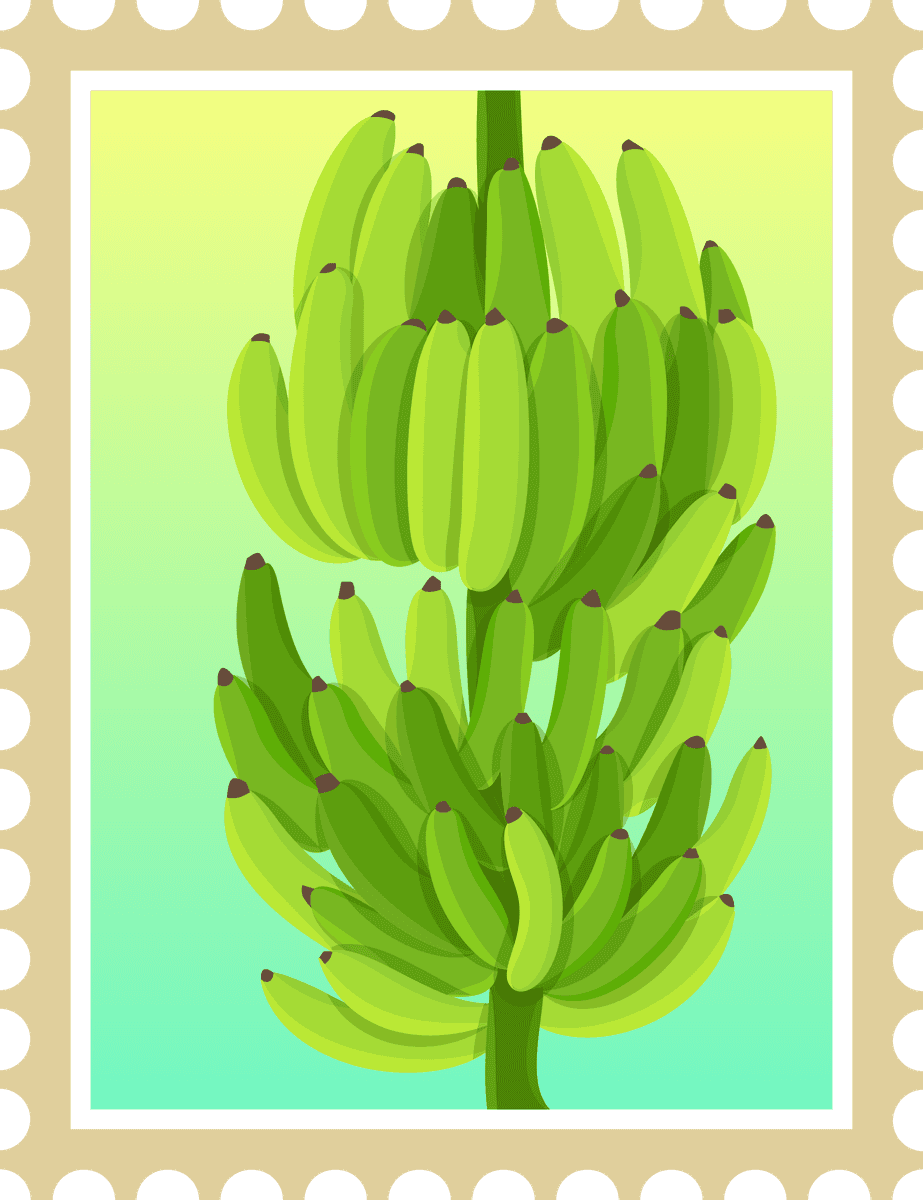 simple thailand postcard poster featuring vibrant green bananas for tropical vibes