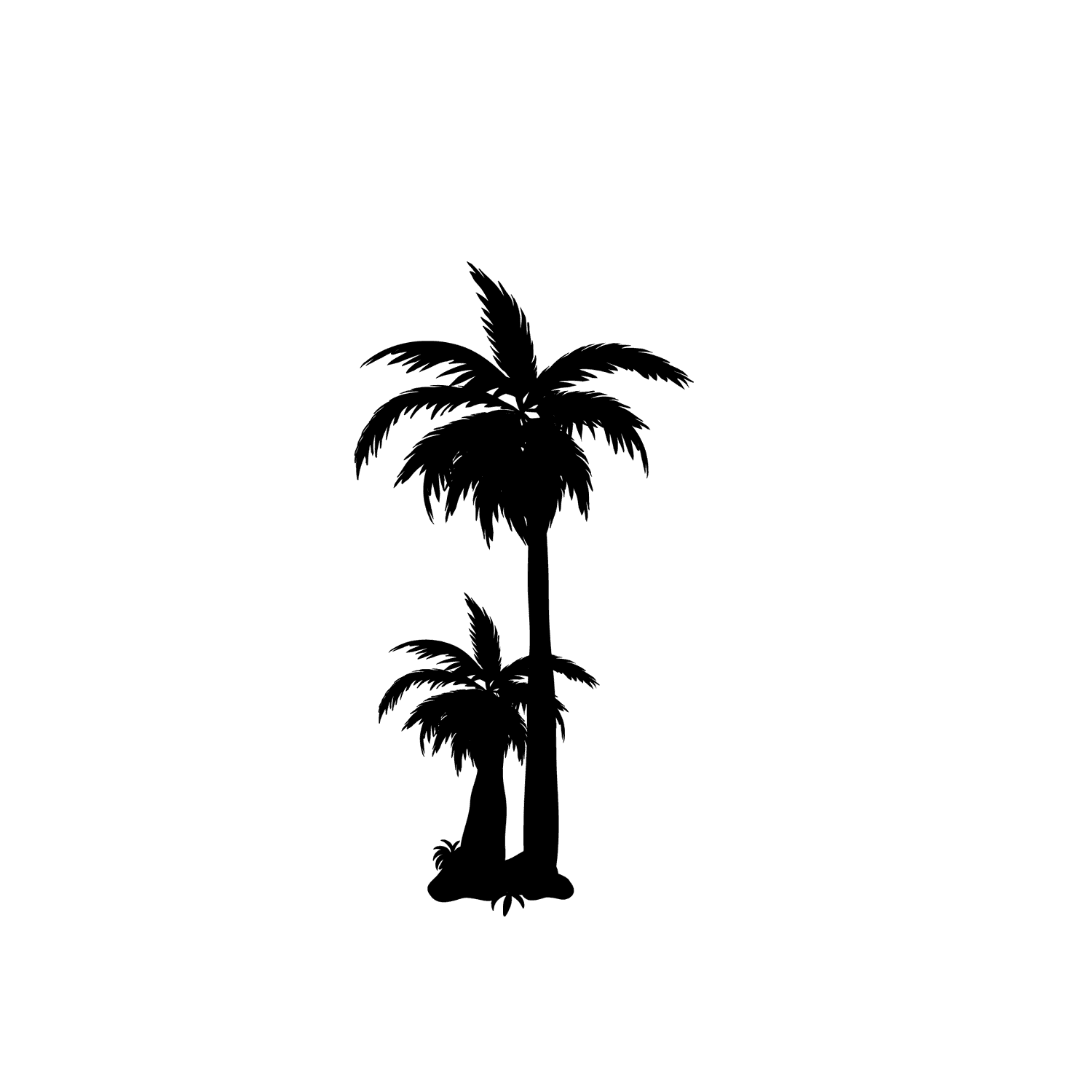 thin palm tree silhouette