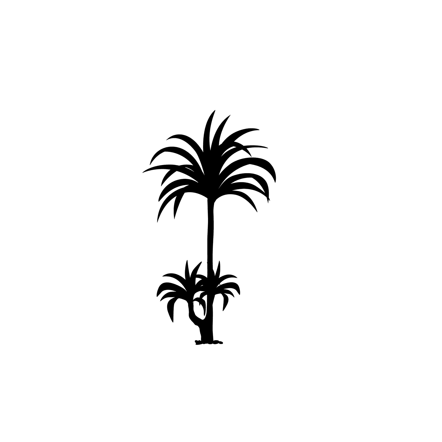 thin palm tree silhouette