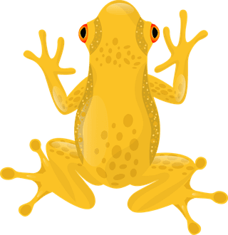 afrog-frog-species-icons-collection-colorful-cartoon-design-926811