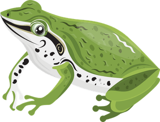 afrog-frog-species-icons-collection-colorful-cartoon-design-389398