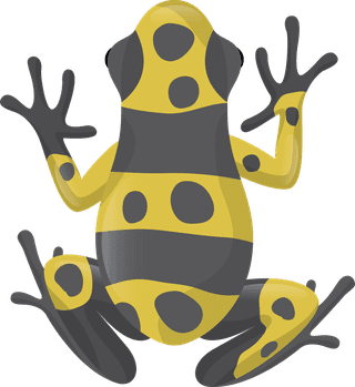 afrog-poisonous-frogs-includes-six-colorful-frogs-with-different-designs-841161