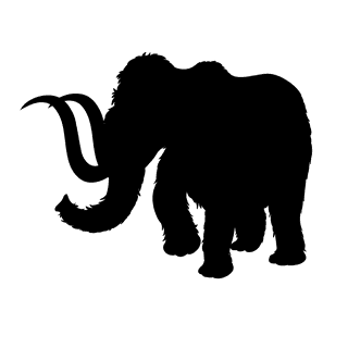 africanwild-animals-silhouette-942614