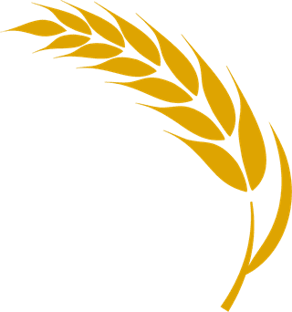 agriculturewheat-icon-bread-agriculture-and-natural-eat-wheat-ears-346180
