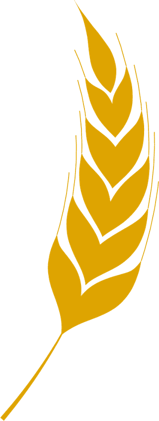agriculturewheat-icon-bread-agriculture-and-natural-eat-wheat-ears-359284