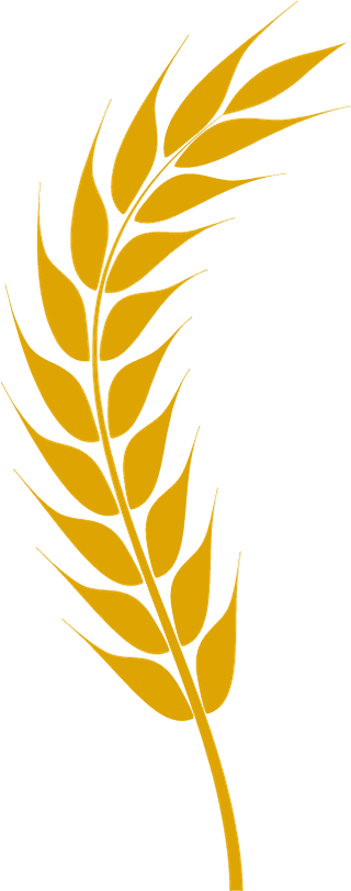agriculturewheat-icon-bread-agriculture-and-natural-eat-wheat-ears-362824