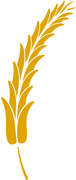 agriculturewheat-icon-bread-agriculture-and-natural-eat-wheat-ears-366638