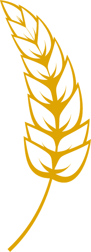 agriculturewheat-natural-eat-wheat-ears-line-icon-387142