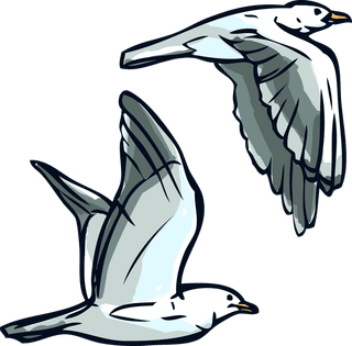 albatrossmarine-sketch-set-57367