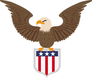 americanflag-with-difference-style-266833