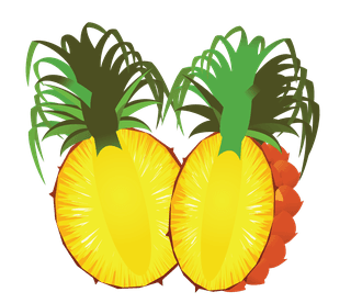 ananascomosus-or-well-known-as-pineapple-fruit-you-can-use-these-in-your-pro-356580
