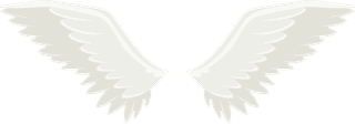 angelwings-angel-wings-heart-445493