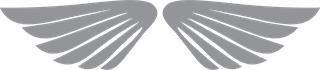 angelwings-freevector-wings-graphics-wings-graphics-629894