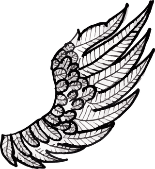 angelwings-hand-drawn-black-white-wings-collection-219367
