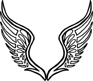 angelwings-hand-drawn-black-white-wings-collection-45301