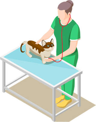 animalcare-volunteers-isometric-icons-943283