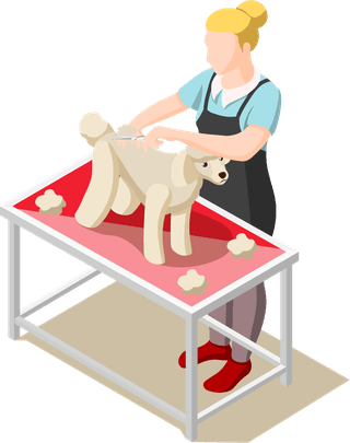 animalcare-volunteers-isometric-icons-632116
