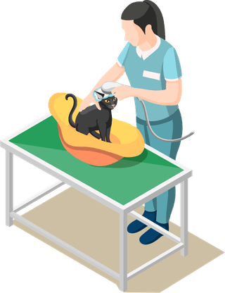 animalcare-volunteers-isometric-icons-447426