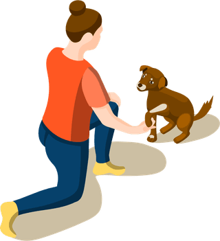 animalcare-volunteers-isometric-icons-181661