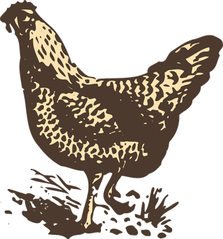 animalsdrawing-poultry-animals-vector-946394