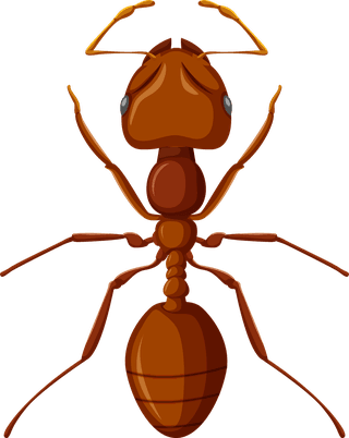 antsset-of-different-insects-on-black-background-illustration-726532