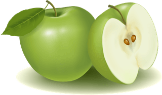 appleand-pears-slice-vector-478539