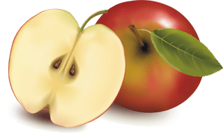 appleand-pears-slice-vector-226643