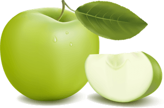 appleand-pears-slice-vector-350060