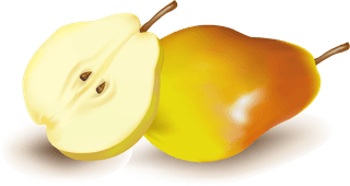 appleand-pears-slice-vector-940997
