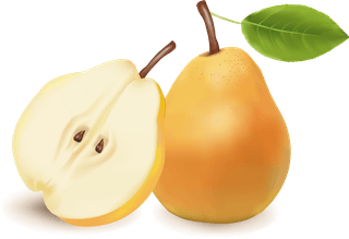 appleand-pears-slice-vector-384886