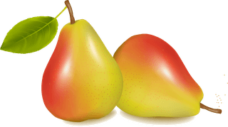 appleand-pears-slice-vector-418331