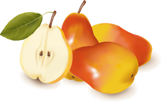 appleand-pears-slice-vector-392672