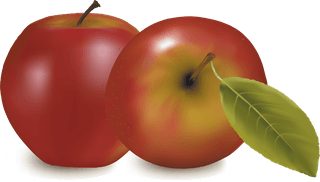 appleand-pears-slice-vector-27612