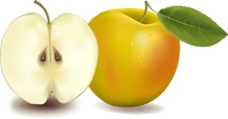 appleand-pears-slice-vector-853106