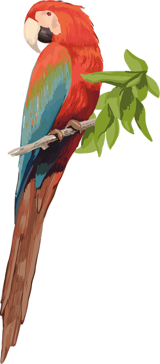aracolorful-exotic-fauna-illustration-with-different-beautiful-tropical-birds-white-728518