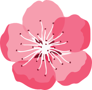 artobiect-drawing-flower-cherry-blossom-bontanical-watercolor-vector-and-cover-289578