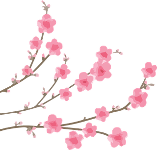 artobiect-drawing-flower-cherry-blossom-bontanical-watercolor-vector-and-cover-102564