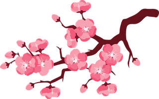 artobiect-drawing-flower-cherry-blossom-bontanical-watercolor-vector-and-cover-696688