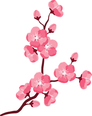 artobiect-drawing-flower-cherry-blossom-bontanical-watercolor-vector-and-cover-197450