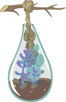 minimalistterrarium-with-cactus-suspended-oasis-430704