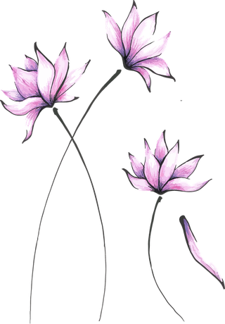 asianflowers-vector-bontanical-308061