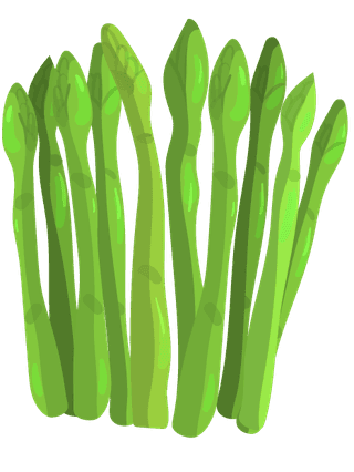 asparagusvegetables-herbs-collection-154829