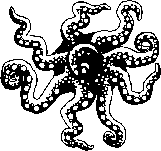 assetvector-octopus-material-610811