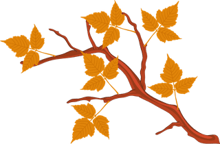 autumndesign-elements-colored-leaves-icons-decor-455323